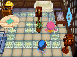 Animal Crossing: Wild World Робин жилой дом Интерьер