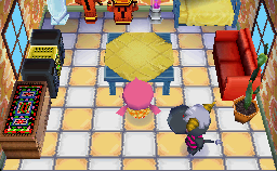 Animal Crossing: Wild World Rodeo Casa Interior