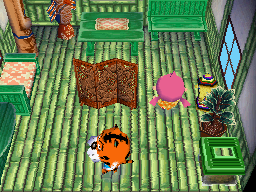Animal Crossing: Wild World Rowan House Interior