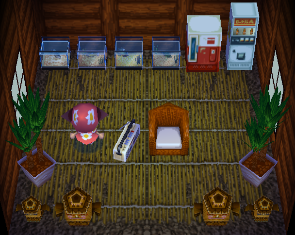 Animal Crossing Scoot House Interior
