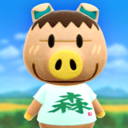 Animal Crossing: New Horizons Espork Fotografías
