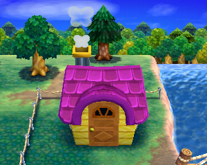 Animal Crossing: Happy Home Designer Сильви жилой дом внешний вид