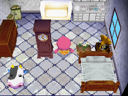 Animal Crossing: Wild World Pinta Casa Interior