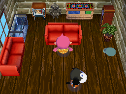 Animal Crossing: Wild World Walker House Interior