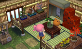 Animal Crossing: Happy Home Designer Saponcio Casa Interior