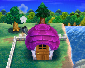 Animal Crossing: Happy Home Designer Юк жилой дом внешний вид