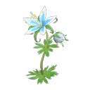 Prinzessinnen-Enzian