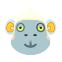 皮猴 icon