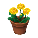 (Eng) dandelions