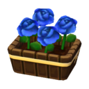 파란 장미