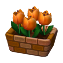 tulipán naranja