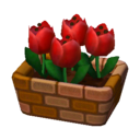 tulipe rouge