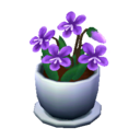 violeta morada