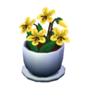(Eng) yellow violets