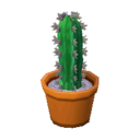 Cactus Ensemble