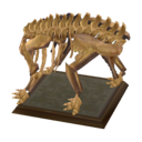 torse d`ankylosaure