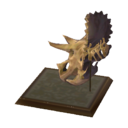 teschio triceratopo