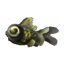 pop-eyed goldfish