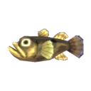 塘鳢鱼