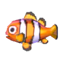 小丑魚