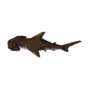 双髻鲨