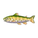 salmón japonés