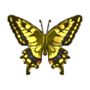 mariposa tigre
