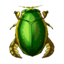 escarabajo nadador