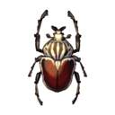 scarabeo Golia