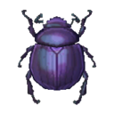 scarabeo stercorario