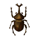 scarabée kabuto
