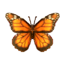 大樺斑蝶