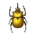 scarabée éléphant