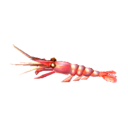 sweet shrimp