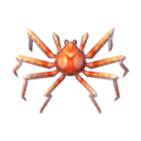 crabe-araignée géant