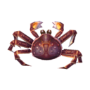 crabe royal