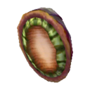 (Eng) ear shell