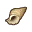(Eng) conch shell