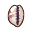 (Eng) cowrie shell