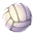 balón Voleibol