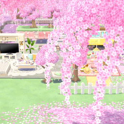 포켓 캠프 벚꽃 소식