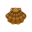 scallop shell