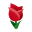 tulipán rojo