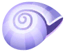 violet sea snail