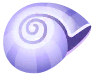 caracol marino violeta