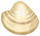 hard-shell clam