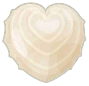 white heart cockle