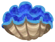 gigas giant clam