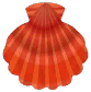 red noble scallop