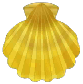 yellow noble scallop